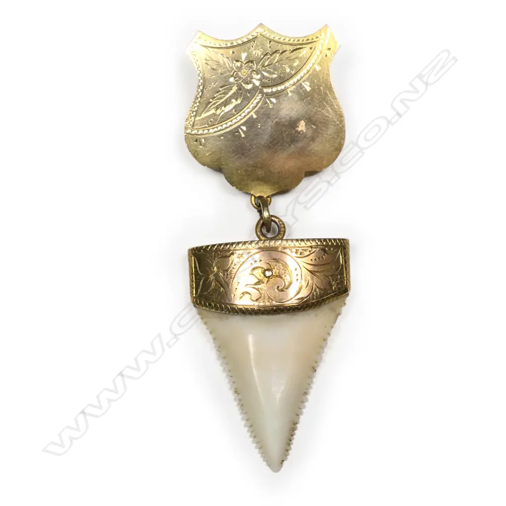 Walsh & Co. (Masterton) 9ct gold mounted shark's tooth pendant, Image 1++